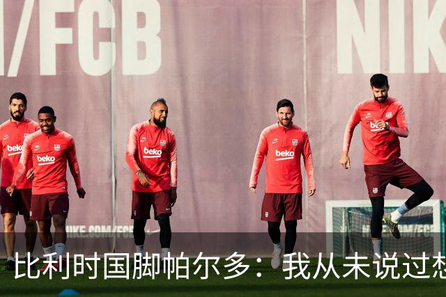 比利时国脚帕尔多：我从未说过想为西班牙出战，我做出了正确决定